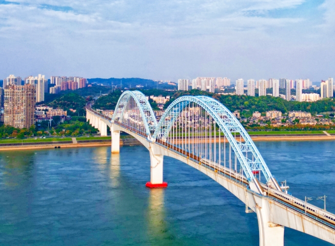 向光而行，花開滿途